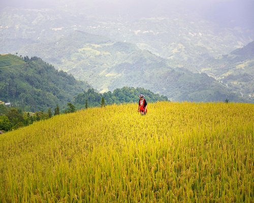 Mujer revisando su agenda y organizando su tiempo en la oficina